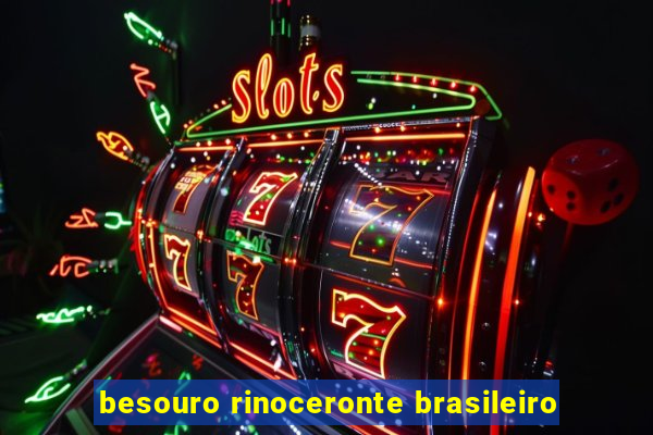 besouro rinoceronte brasileiro